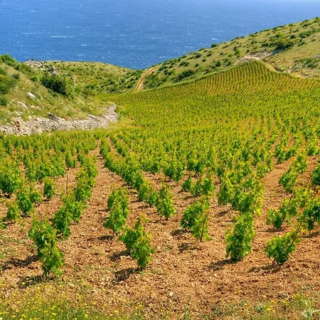 In With Sea View, Terrace, Air Conditioning, W-lan *