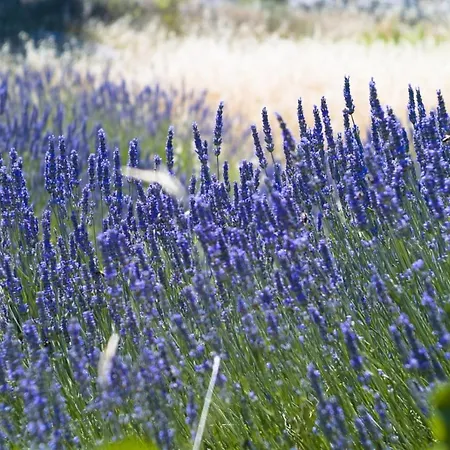 In With Sea View, Terrace, Air Conditioning, W-lan 公寓 *