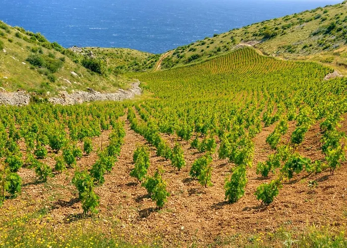 In With Sea View, Terrace, Air Conditioning, W-lan *