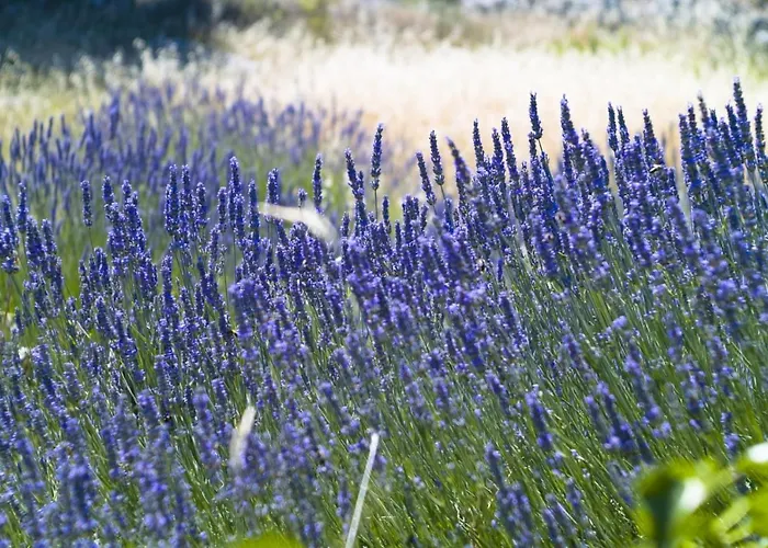 In With Sea View, Terrace, Air Conditioning, W-lan Διαμέρισμα *